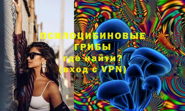 гидропоника Аркадак